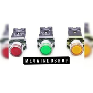 Iluminated Push Button With Neon LAY5BW